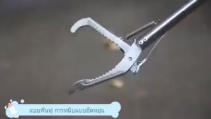 ไม้จับงู1.5 เมตร ที่จับงูของแท้ ที่จับงู ไม้จับงูแบบคีบ ไม้จับงู 2 เมตร อุปกรณ์จับงู ที่จับงู2เมตร snake catcher ที่จับตุ๊กแก ไม้จับตุ๊กแก FREE GIFT