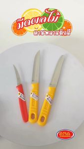KIWI มีดผลไม้ มีดคว้าน มีดกีวี่ มีดทําครัว ด้ามพลาสติก มีด