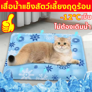 🐾จัดส่งที่รวดเร็ว 🐾แผ่นเจลเย็นแมว แผ่นเจลเย็นหมา ที่นอนเย็นแมว ที่นอนแมวเย็นๆ แผ่นเจลเย็น
