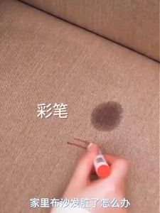 Fabric Cleaner Fabric Stain Remover Clean Protect Block Stains Restore Household Fabrics 450ML For Sofa White & Color Shirt Fabric Pants 布艺清洁剂