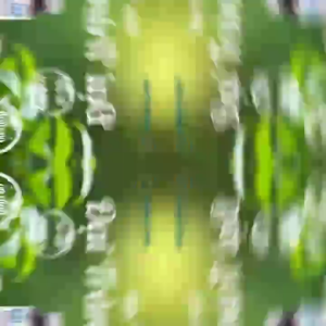 Viên Đại Tràng Intend – Hỗ Trợ Tiêu Hóa Giúp Ổn Định Đường Ruột Giảm Đi Ngoài Nhiều Lần Lọ 30 Viên