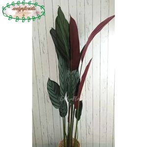 Pohon Artificial Daun Calathea Ungu T150 Latex Pot Dasar Hitam Cover Eceng Gondok Dekorasi Ruang Tamu