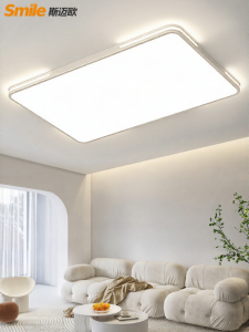 Smile | Modern LED Ceiling Light Set for Whole House