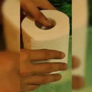 BATHROOM TISSUE VIRGIN PULP 300 SHEETS
