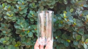 250ml & 310ml Classic Highball Glass Tumbler/Catering/Juice/Milkshake Tumbler