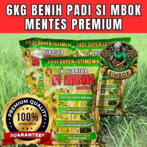 (6KG)BENIH PADI IN HIBRIDA SIMBOK MENTESDI PORMULASIKAN UNTUK HASIL PRODUKSI MAKSIMAL