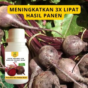 Pupuk Bit Cepat Berbuah / Pupuk Pelebat Buah Bit / Pupuk Booster Bit Cair