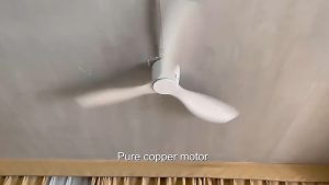 CHNT Ceiling Fans With Lamp Remote And 3 Blades Modern Home 2In1 DC Mute Fan Light For Patio Bedroom Living Room