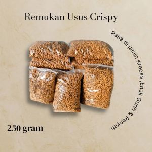 Remukan usus Crispy Enak gurih dan renyah 1 kg || Baca Deskripsi