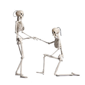 40/90CM Human Skeleton Model Anatomy Skeleton Skeleton Model Halloween Party Decoration Skeleton
