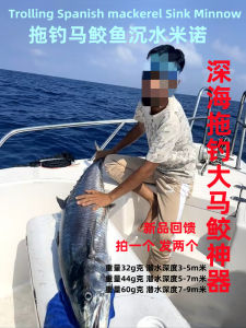 ปลอมล่อปลากชิ้นยักษ์ใหม่ Mnuo สำหรับตกปลาเรือทะเล ล่อแบบ Minnow ขนาดใหญ่ แหล่งกำเนิดสินค้า จีนแผ่นดินใหญ่