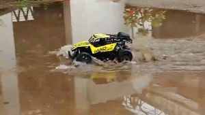 Mobil Remote Control King Cheetah  RC Offroad Frekuensi 2.4GHz