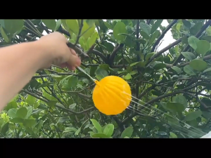 บินกับดักลูกบอลส้มผลไม้ขนาดใหญ่บินลูกแมลงลูกแมลงเข็มผึ้งเกาะ