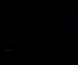 Canon EOS R1 Mirrorless Camera ( Body )