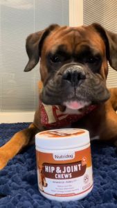 Nutridog hip&joint chews Naturale dog food with vitaminsappetite booster for dogspet snacks treats(300g):Relieve joint pain