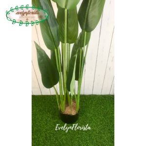 Pohon Hias Daun Pisangan Heliconia T120 Latex Artificial Pot Dasar Hitam Plastik Dekorasi Ruang Tamu Pajangan Rumah Aesthetic