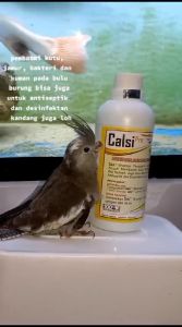 shampo burung calsi pro bebas kutu jamur dan halus asli 100%