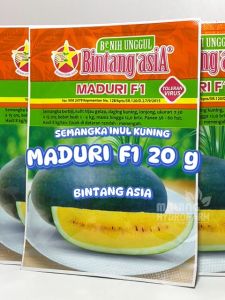 Benih Semangka Inul Kuning Maduri F1 Bintang Asia Dataran Rendah Menengah Toleran Virus Biji Bibit Buah Mardy Merah Daging Manis Besar Lonjong Hydroponik Hidroponik