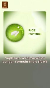 MGANIK 3PEPTIDE PEPTIDE Obat Jantung Koroner