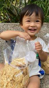 [Tempeh Boy] Tempeh Chips (4 x 250g) - Halal/ Vegan/ Healthy Soybean Chips