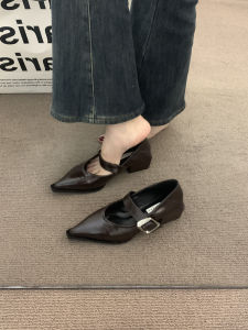 French Elegant Pointed Toe Deep Brown Mary Jane Womens Shoes Spring Autumn Commute High Heel Fashionable Small Leather Shoes