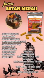 JAMU SETAN MERAH new kemasan BARU jamu ayam petarung- agresif dan galak