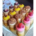 12Pcs Cetakan Kue Pie Polos / Loyang kue Pie Hokkaido / Tart Biscoff Egg Tart / Cetakan Pai Sus Bulat /loyang bulat press/kue tart mini/kue pie tartlet bulat / puncher tart mini / tartlets / cetakan pie /tempat lilin/cetakan lotus biscoff cheese tart. 