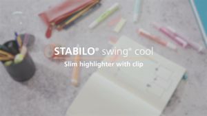 STABILO Stationery swing cool Pastel Highlighter Pen Set Color Writing Utensils Permanent Marker Pen School Office Stationery - Box of 10