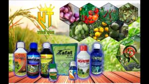 Insektisida Limpo Gold 550SL 1liter B.A Dimehipo Pembasmi Hamaracun Kontak dan Lambung