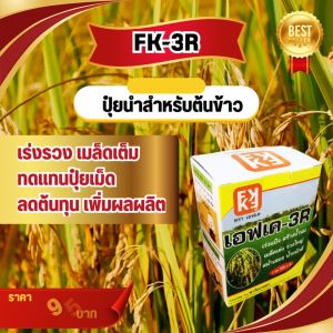 FK-3R ปูแฟ เพิ่มผลผลิต นาข้าว ต้นข้าว แตกกอดี รวงใหญ่ เมล็ดเต็ม เร่งสร้างน้ำนม น้ำหนักดี ผลผลิตดี ฉีดรับรวง