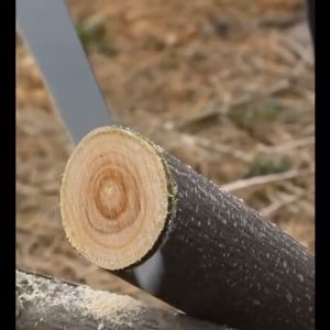 Gergaji Lipat Kayu: Pemilihan & Penggunaan yang Tepat