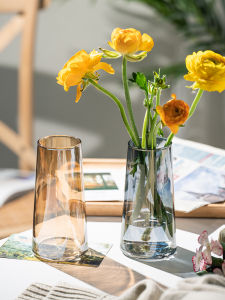 Nordic Minimalist Transparent Glass Vase for Fresh and Hydroponic Flowers