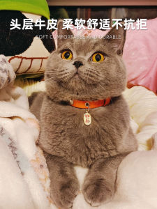 Leather Cat Collar with Engraving Lost Prevention Cat ID Tag Bell for Cats Pet Supplies Customizable SEUVELEU Speed Travel