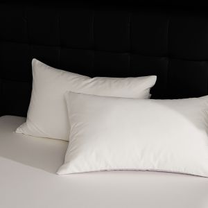 Five Star Hotel Class a 100 Thread Count Double Thread Long Staple Cotton Pillowcases Inner And Outer Pure Cotton Pair 48x74cm