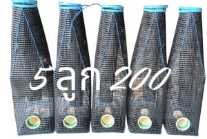 ตุ้มดักปลาไหลงาไม้ที่ดักปลาไหลงาไม้อีจู้ดักปลาไหลงาไม้ตุ้มเอื่ยน จัดชุด 5 ลูก