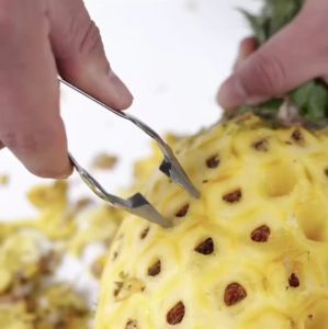 Murah CAPITAN MATA NANAS NENAS ALAT CAPIT NENAS STAINLESS / PENCABUT MATA NANAS PENGUPAS MATA NANAS Modern