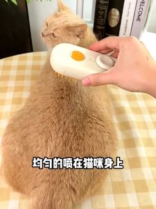 3 In 1 Cat Steamy Brush Cat Brush Anti-splashing Brush with Steam Spray Massage Comb Pet Grooming