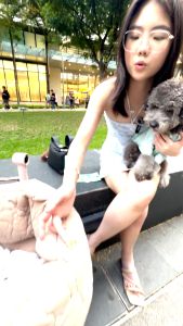 Gentle Paws Protect Me Patch Sticker Anti-Tick and Fleas For Dogs & Cats Plant-Based Lick Safe