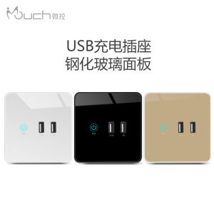 ปลั๊กไฟมีสติปัญญาแบบเร็วชาร์จ USB ควบคุมเดี่ยว สีดำ สินค้าจากจีนแผ่นดินใหญ่ ปลั๊กไฟมีสติปัญญา สำหรับบ้าน