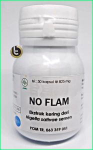 No Flam ( Obat Herbal ) untuk Daya Tahan Tubuh Obat Radang & Capek
