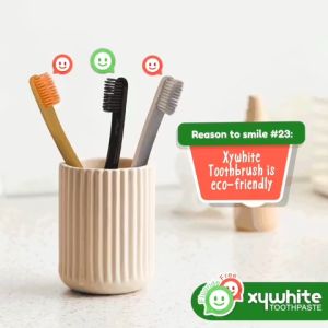 BUNDLE OF 3 | Xywhite Toothbrush | Removes Plaque Hard to reach areas Soft & Gentle Bristles