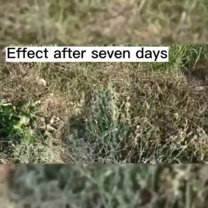 50g powerful grass killer chemical Glyphosate herbicide Do not harm the soil Tree killing powder Professional weed removal chemical Hexazinone root removal weeds pest control herbicide for grass and weeds