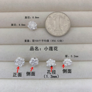 999 Sterling Silver 3D Hard Accessories