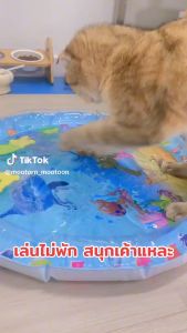 สัตว์เลี้ยงเสื่อน้ำเตียงแมว 100cm เบาะน้ำพองลม 3 มิติ ที่นอนสัตว์เลี้ยง ของเล่นแมว หนาขึ้น