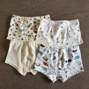 Baby Boy Flat Angle Underwear Cotton Anti-static Sweat Absorbent Home Wear Comfortable All Season A-Class Inner Pants for Kids