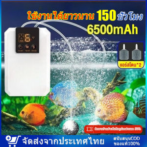 ปั๊มออกเจนปลา รูคู่ ออกซิเจนพกพา รุ่นใหม่ ใช้งานได้ยาวนาน150ชั่วโมงออกซิเจนปลา12v สำหรับฉุกเฉินไฟดับ ออกซิเจนตู้ปลา แสดงแบตที่เหลือได้ ปั๊มลมตู้ปลา หัวชาจต์ USB ออกซิเจนกุ้ง เครื่องออกซิเจน ปั๊มออกซิเจนสำหรับตู้ปลา เหมาะสำหรับตกปลากลางแจ้ง ปั้มลมขนาดเล็ก