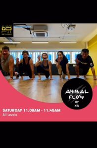 [GoFit Gym Geylang] Animal Flow Group Class Advanced Flow Certified Trainer.