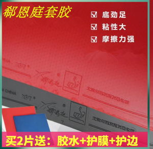 XinTing Training Ping Pong Ball Rubbers Popular Gym Training Class Professional Set Thick Sponge for Offensive Play