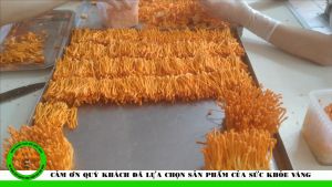 đế đông trùng hạ thảo khô 1000g