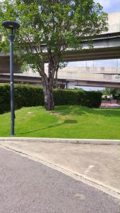 ชุดเซ็ทสาวอวบ เสื้อ กางเกงขายาว ทรงหลวมพอดีตัว สไตล์เกาหลี เวลาว่าง ออกไปที่ถนน ใส่ออกไปข้างนอก ชุดวอมผู้หญิง TZ80